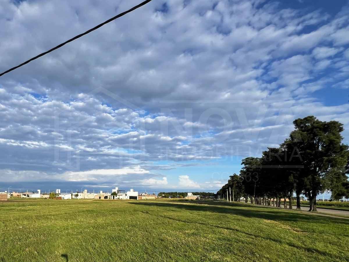 TERRENOS EN VENTA - LOTEO VICENTIN 🌳 - Nova Inmobiliaria