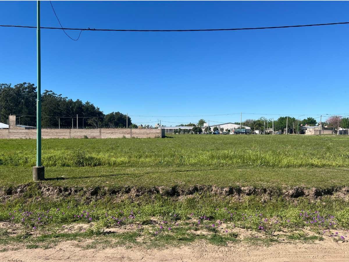 Terreno en AVELLANEDA - Nova Inmobiliaria